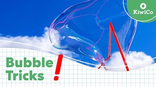 5 Awesome Bubble Tricks You Can Do At Home  KiwiCo [upl. by Linnea]