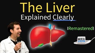 Whipple Procedure Hepatic Arterial Anatomy [upl. by Demp912]