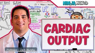 Cardiovascular  Cardiac Output [upl. by Ecinahs]