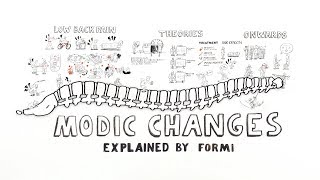 Lumbar Spine MRI Part 6 Phytes and Modic Changes [upl. by Earehs]