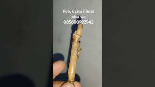 Bambu petuk jalu [upl. by Yreva]