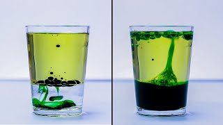 EASY SCIENCE EXPERIMENTS THAT WILL AMAZE KIDS [upl. by Engleman368]