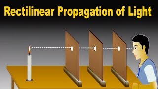 Rectilinear Propagation of Light  Science [upl. by Carey]