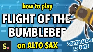 Flight of the Bumblebee 5k special  Saxplained [upl. by Alba]