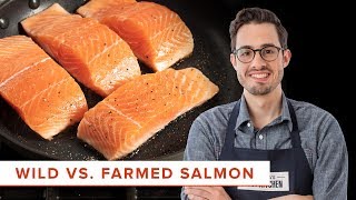 The Scientific Difference Between Cooking Wild and Farmed Salmon [upl. by Nnyletak265]