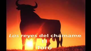 Chamame el toro [upl. by Ytinirt]