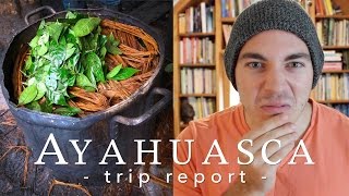 Ayahuasca Trip Report [upl. by Sonia745]