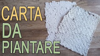 CARTA riciclata con semi  carta da piantare fai da te  Arte Green [upl. by Ahsinroc]