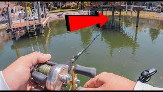 Dock Fishing Made Easy  How To Catch EVERY Bass [upl. by Klein]