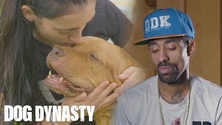 Goodbye Maia The OG Pitbull Who Started DDK9’s  DOG DYNASTY [upl. by Kenway]