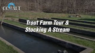 Cobalt Trout Farm Tour and Stocking A Stream [upl. by Arelus]