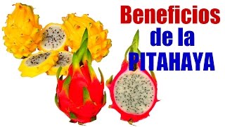 Los Beneficios de la Pitahaya  Agrosalud [upl. by Harat]