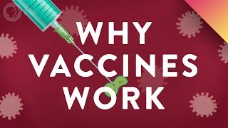 Why Vaccines Work [upl. by Leena]