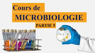 cours de microbiologie partie 5  la taxonomie bactérienne  nomenclature des microorganismes [upl. by Fisk33]