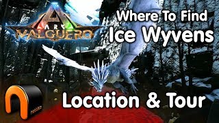 ARK VALGUERO Ice Wyvern Location amp Tour [upl. by Halla]