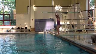 Teach a Flip for Springboard Diving [upl. by Aja396]