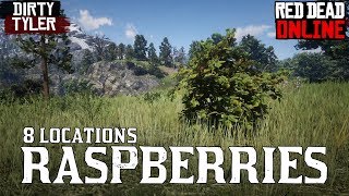 Raspberries RDR2 Raspberry Bush locations Red Dead Online [upl. by Nohsal]