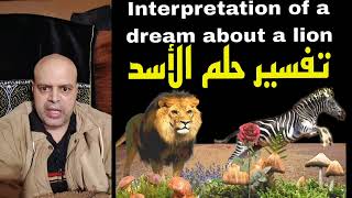 ماذا يعني رؤيه قطع راس الاسد في المنام، What does it mean to see a lions head cut off in a dream [upl. by Gwendolen578]