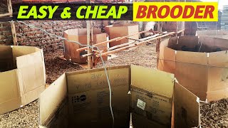 How To Build A Chicken Brooder Cheap and Easy [upl. by Greenstein176]