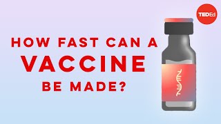 How fast can a vaccine be made  Dan Kwartler [upl. by Ohl]