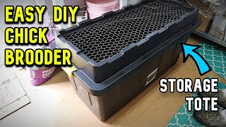 Easy DIY Chick Brooder YOU CAN BUILD [upl. by Wain]