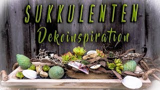 ▶SUKKULENTEN  verschiedene DEKO Variationen DIY [upl. by Caines]