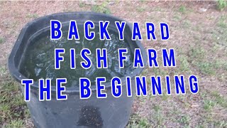 Starting A Backyard Fish Farm [upl. by Paulina]