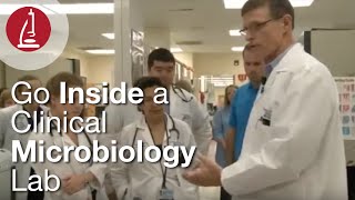 Go Inside a Clinical Microbiology Lab [upl. by Salzhauer495]