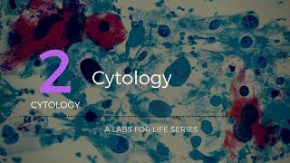 Cytology [upl. by Aniger]