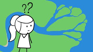 Why Do Rivers Have Deltas [upl. by Oer]