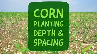 Corn Planting Depth and Spacing [upl. by Iolanthe403]