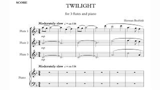 Herman Beeftink quotTwilightquot 3 flutespiano SHEETMUSIC [upl. by Nulubez]