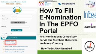 How To File e nomination In The EPFO Portal Online How to Activate UAN NumberHow to Add Nominee [upl. by Mapel]