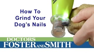 How to Grind Your Dogs Nails DrsFosterSmith [upl. by Ynaffat]