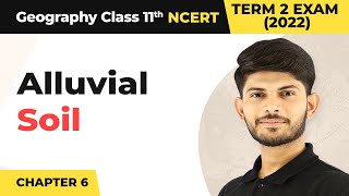 Class 11 Geography Chapter 6  Alluvial Soil  Soils [upl. by Sew]