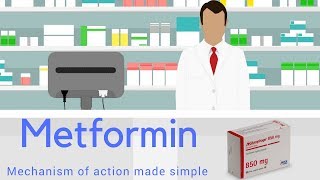 METFORMIN MECHANISM OF ACTION MADE SIMPLE ANIMATED [upl. by Attah]