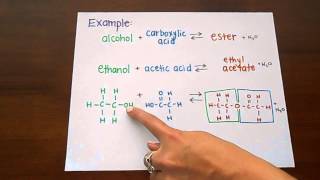 Ester Formation [upl. by Gaige]