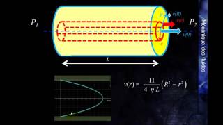 MK Flu 4  3B2  Démonstration de la loi de Poiseuille [upl. by Granoff]