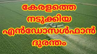 Kasargod Endosulfan tragedy [upl. by Candis]