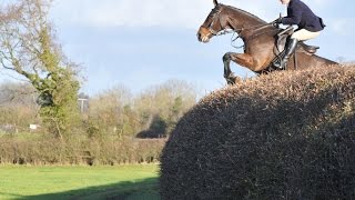 Alices Thrills amp spills with The Ledbury Hunt 20142015 Season [upl. by Winnick888]