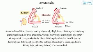 azotemia [upl. by Gaile]