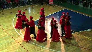 Baile Chamame Patagonico [upl. by Shanda]