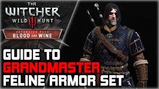 WITCHER 3 Grandmaster FELINE Armor Set GUIDE ► Diagrams Locations Crafting Stats Appearance [upl. by Henriha411]