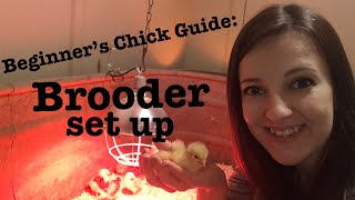 Beginner’s Guide to Raising Chicks  Brooder Set Up [upl. by Buchbinder318]