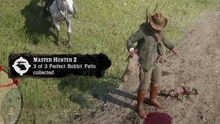 How To Get Perfect Rabbit Pelts  Red Dead Redemption 2 [upl. by Nivrek]