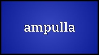 Ampulla Meaning [upl. by Silvio]