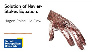 Solution of the NavierStokes HagenPoiseuille Flow [upl. by Gracia205]