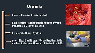 Uremia [upl. by Akamahs]