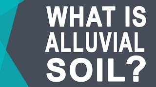 Alluvial Soil  Soils of India [upl. by Arik]