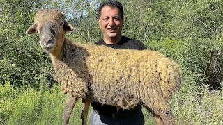 LAMB KEBAB RECIPE  SPICY LAMB SHISH KEBABS RECIPES  SPECIAL LULE KABOB BY WILDERNESS COOKING [upl. by Benjamin10]